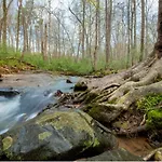 Lux Mins To Nascar Hof Cdia & Atrium Health