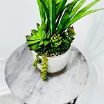 Cozy Corner Escape Entire Home In Charlotte