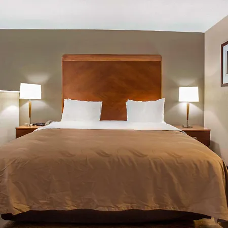 Quality & Area Hotel 3*