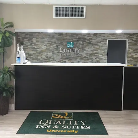 Quality & Area 3*