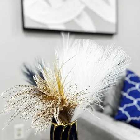 Apartment Lavish Escape Charlotte