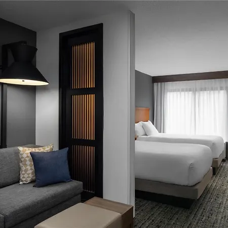 Hyatt Place Airport/lake Pointe Hotel Charlotte