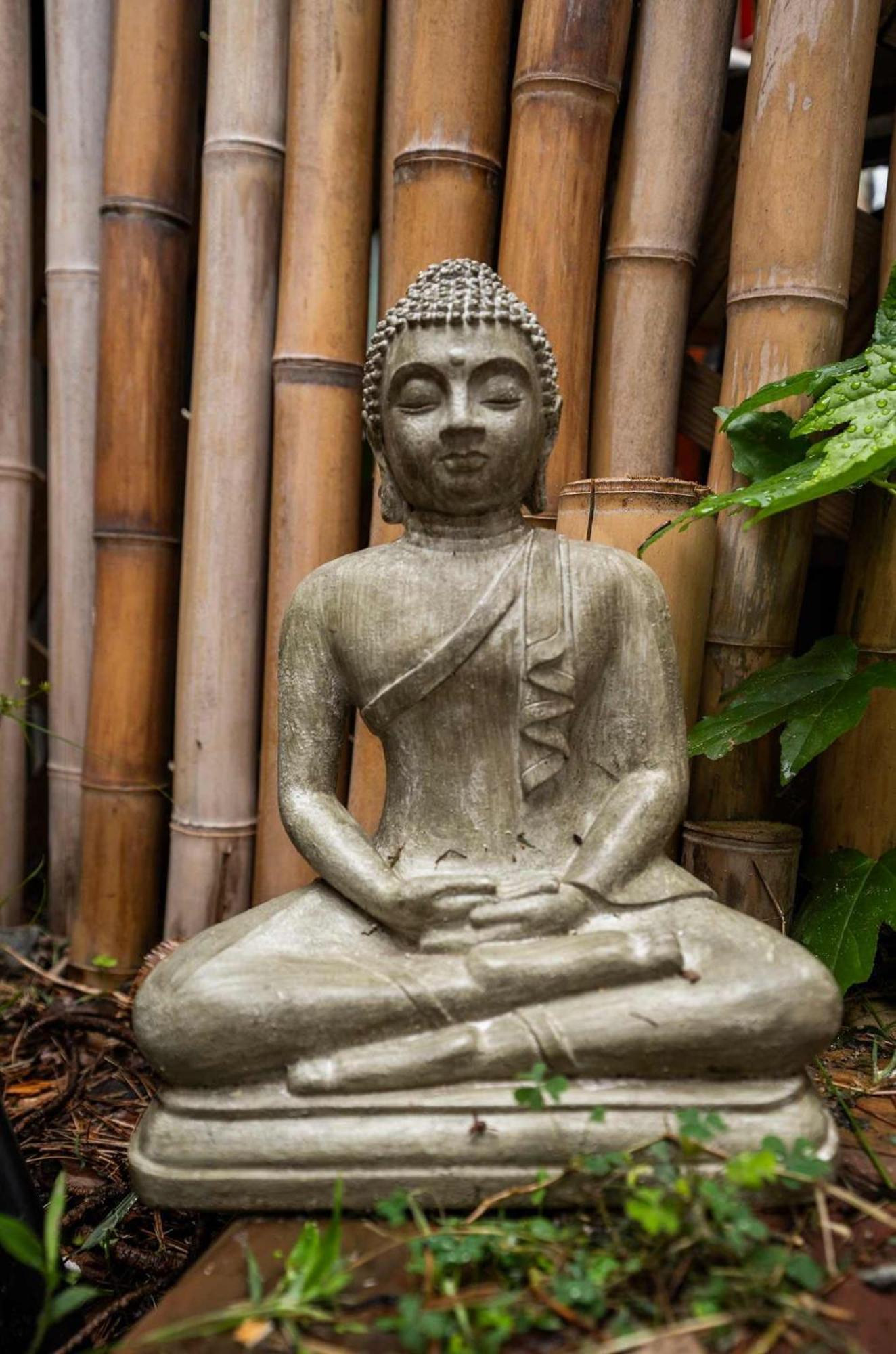 Apartment Adorable Solo-traveler Retreat