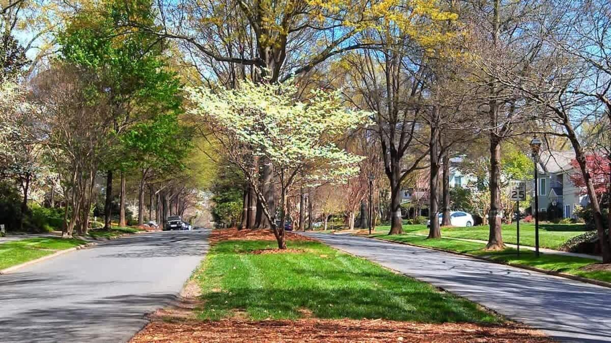 Chic And Comfortable 2br Near Uptown Charlotte