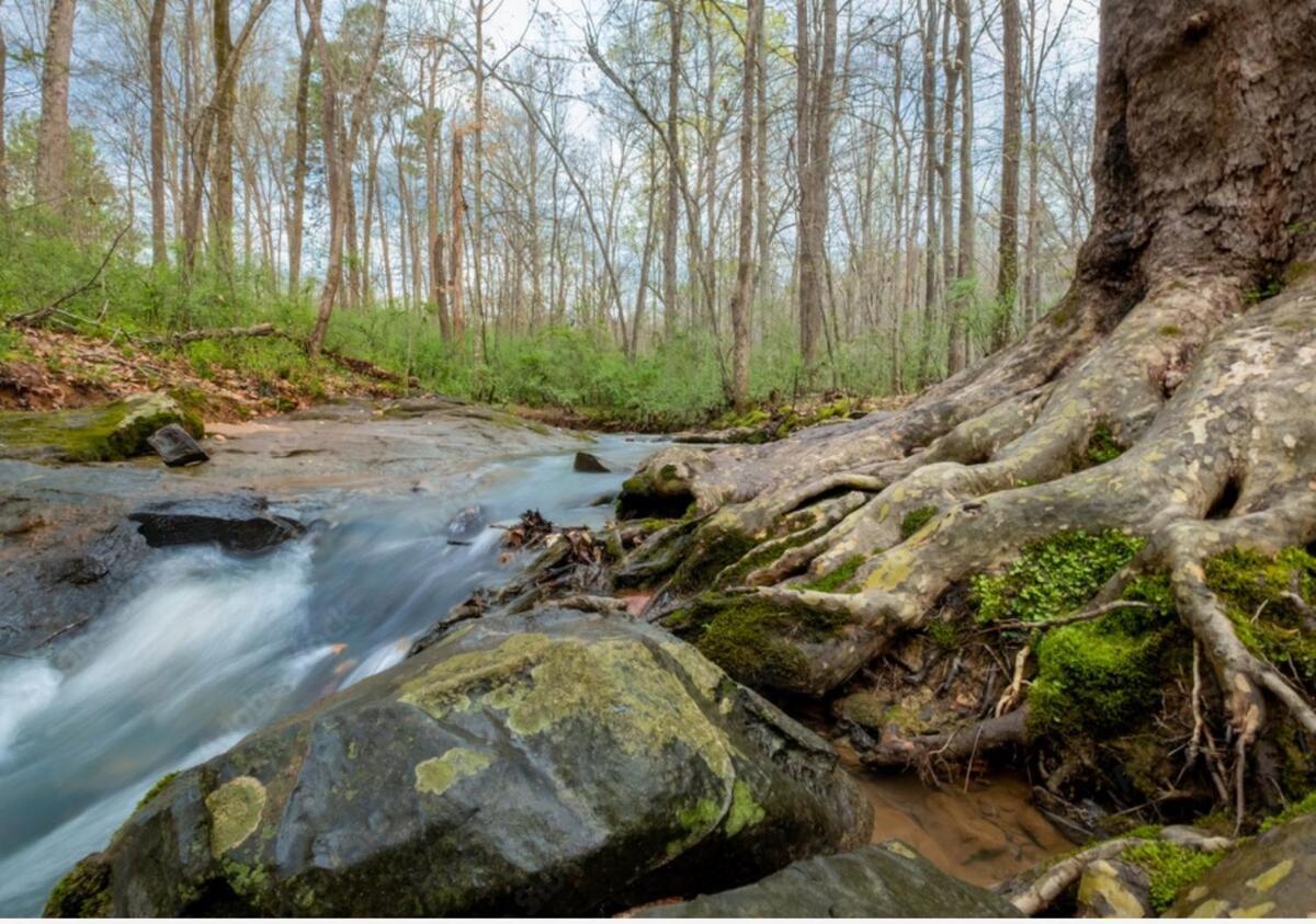 Lux Mins To Nascar Hof Cdia & Atrium Health * Charlotte