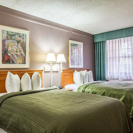 Quality & Airport Hotel