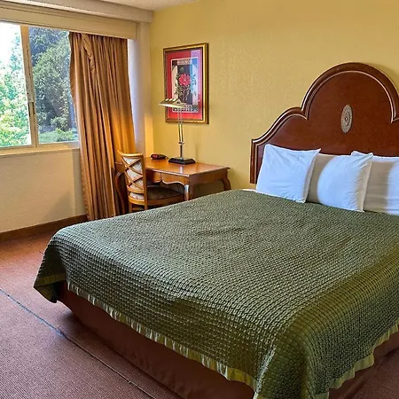 Hotel Golden By Oyo