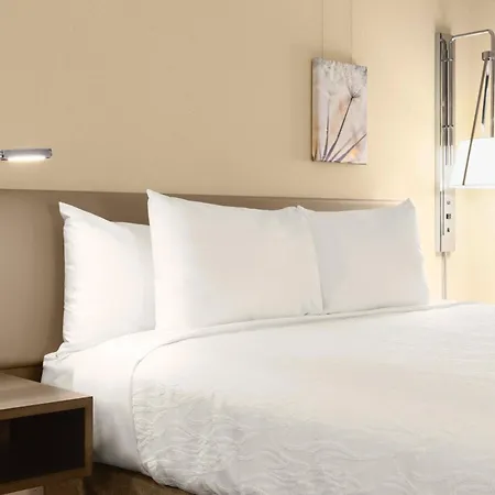 Hotel Hilton Garden Southpark