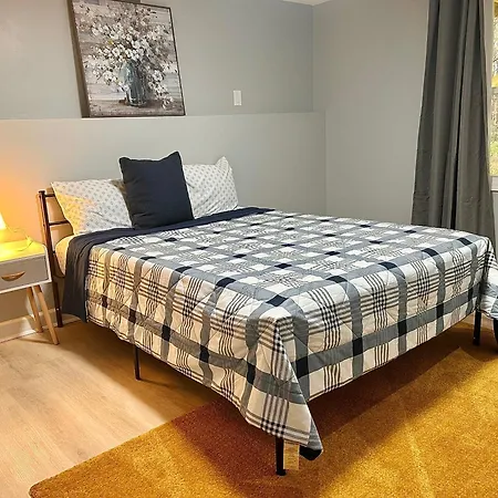 Comfy Lower Lvl With Jetted Tub Near Uptown And Unc Holiday home Charlotte