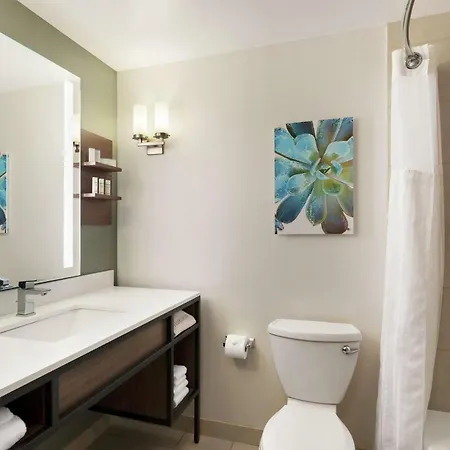 Hilton Garden Charlotte/ayrsley