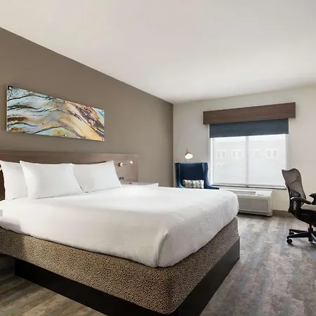 Hilton Garden Charlotte/ayrsley Hotel Charlotte
