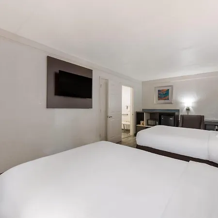 Quality & Airport Hotel
