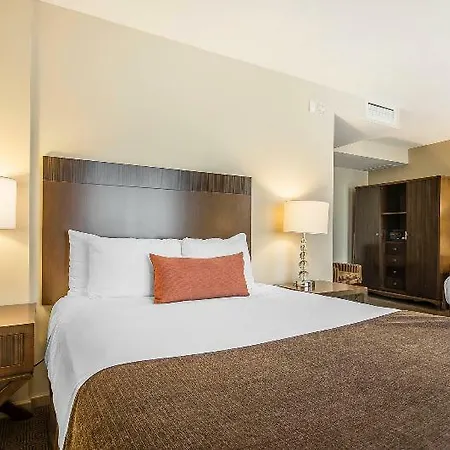 Inn Rodeway Airport Area 4*
