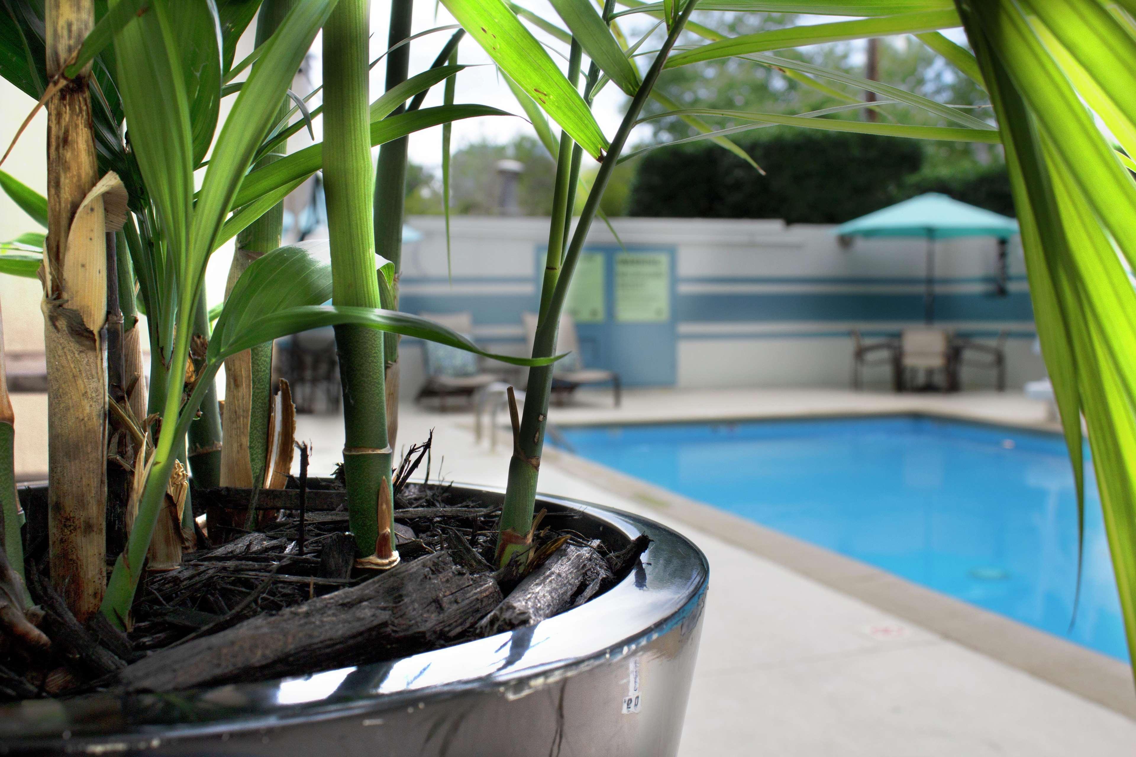 Doubletree By Hilton Uptown Hotel Charlotte