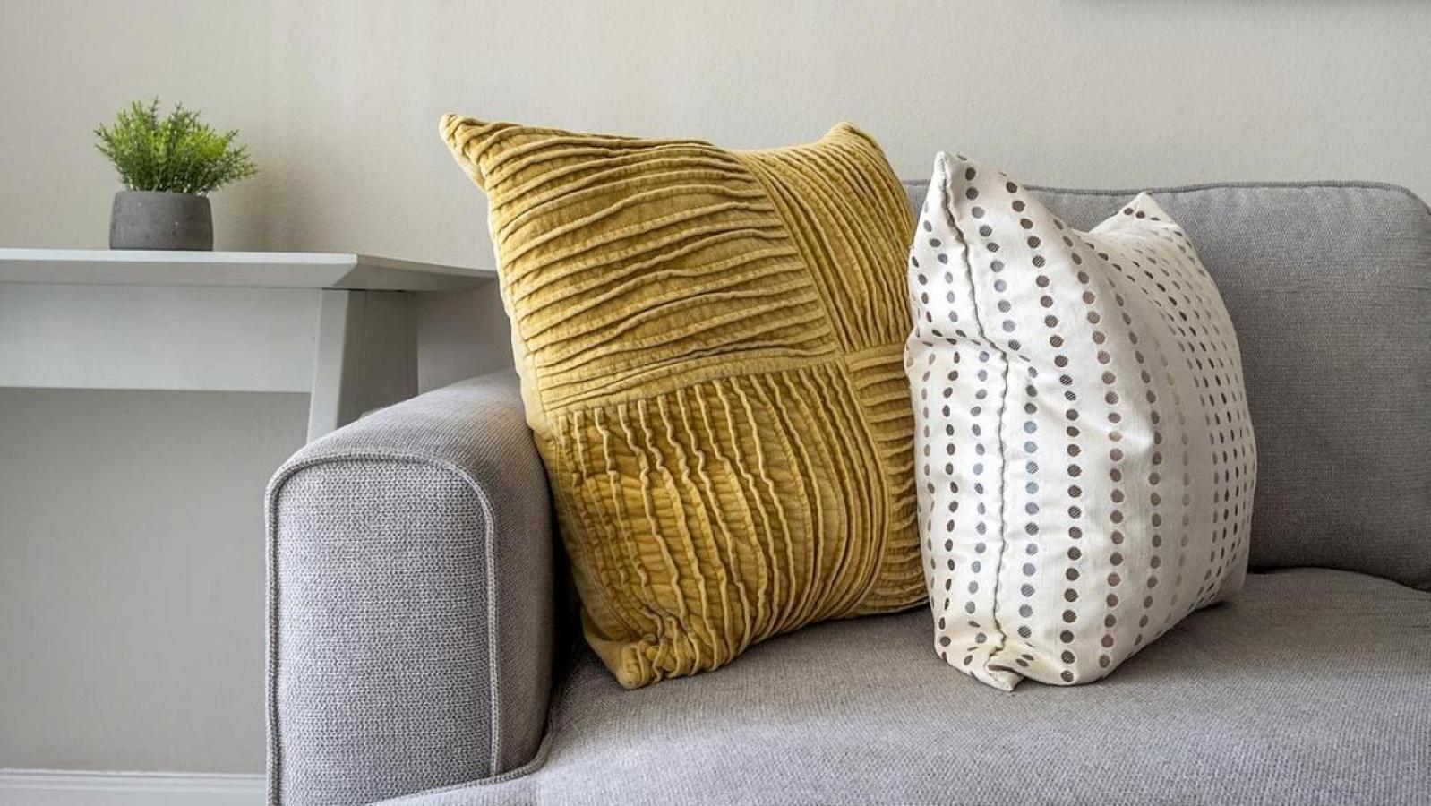 Landing Modern With Amazing Amenities Apartment Charlotte