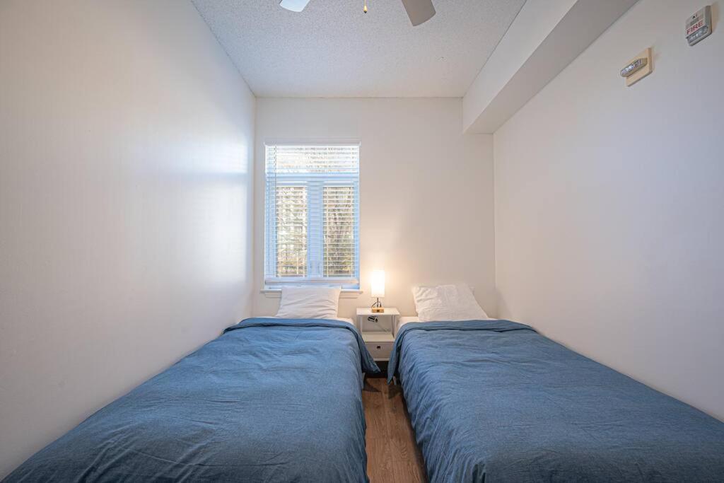 Queen Classic Apartment