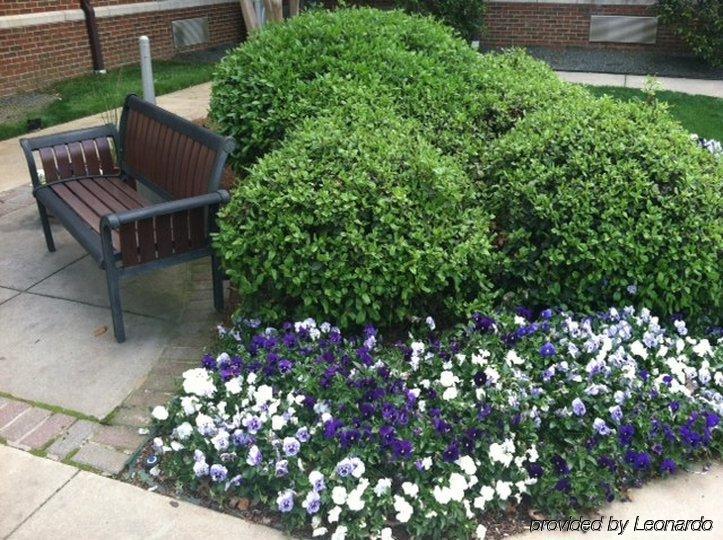 Sonesta Simply 3* Charlotte