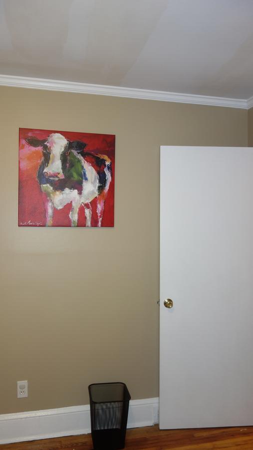 Apartment The Right Side Duplex Charlotte