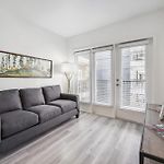 Premium Apartments And Studios At Midtown 205 In Charlotte