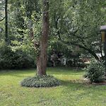 Dream Catcher\'S Bungalow