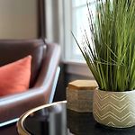 Comfortable And Stylish Condo Near Myers Park