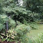 3 Bed, Luxury Bungalow, With Mature Garden, Minutes From Uptown Charlotte