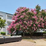 Courtyard Charlotte Arrowood