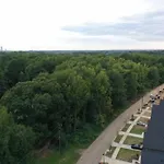 Sports Themed Home Across From Park! 3 Bedrooms