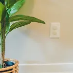 Retreat - 4 Bedroom Oasis With King & Private Yard Near Downtown Holiday home Charlotte