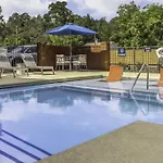 Modern Luxury ~ King Bed ~ 1br In Plaza Midwood Charlotte