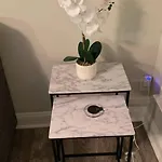 Good Vibe In The Heart Of Plaza/midwood Area Apartment Charlotte
