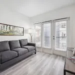 Premium Apartments And Studios At Midtown 205 In Charlotte