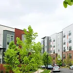 Modern 1bd In Plaza Midwood With Community Pool Apartment Charlotte