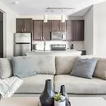 Landing Modern Apartment With Amazing Amenities