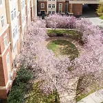 4B 2Ba Luxury Central Apartment With Gym