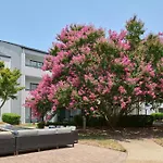 Courtyard Charlotte Arrowood