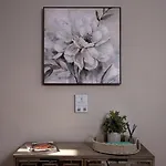 Disconnect At With Great Surroundings In Charlotte, North Carolina Charlotte