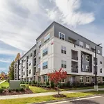 Kasa Freemorewest Charlotte