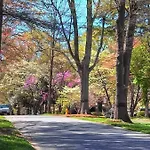 Holiday home Spacious Conveniently Located 1br In Myers Park Charlotte
