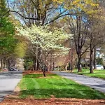 Holiday home Relax And Recharge In Myers Park Charlotte