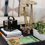 Plaza Shamrock *pied-a-terre* Newly Renovated! * Charlotte