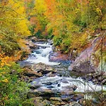 Uptown Panthers Den 2