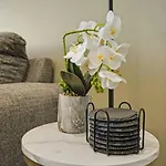 Queen Breeze - Parking, Pool, Walkable * Charlotte