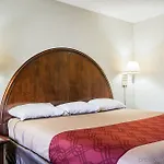Hotel Quality Airport-near Uptown 2*