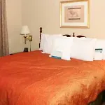 Hotel Homewood By Hilton Airport Charlotte