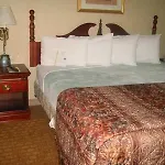 Homewood By Hilton Airport Hotel 2*