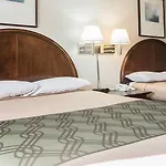 Hotel Quality Airport-near Uptown 2*
