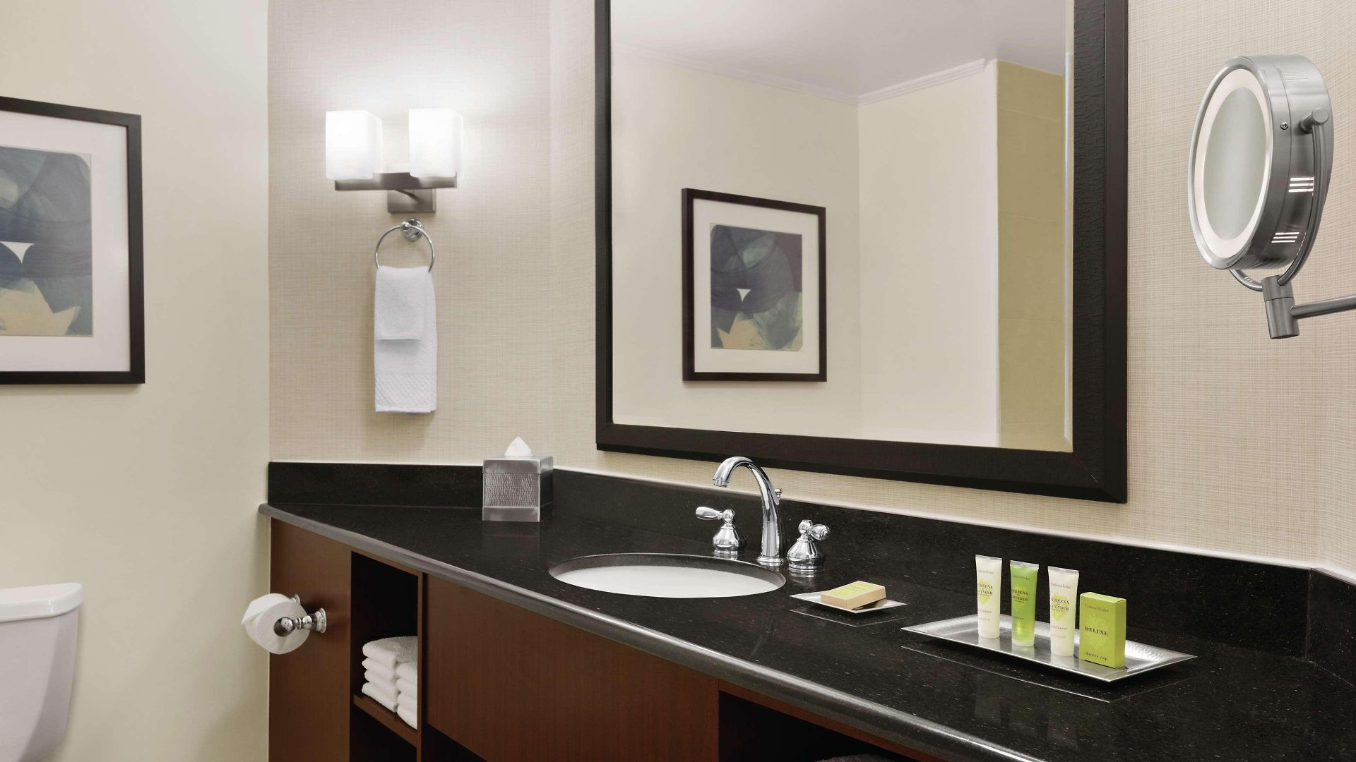 Doubletree By Hilton South Tyvola Hotel 4*