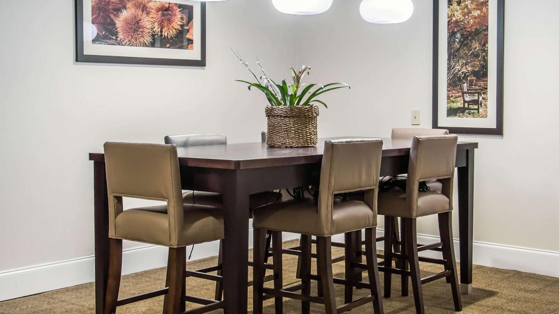 Hotel Comfort - Research Park Charlotte