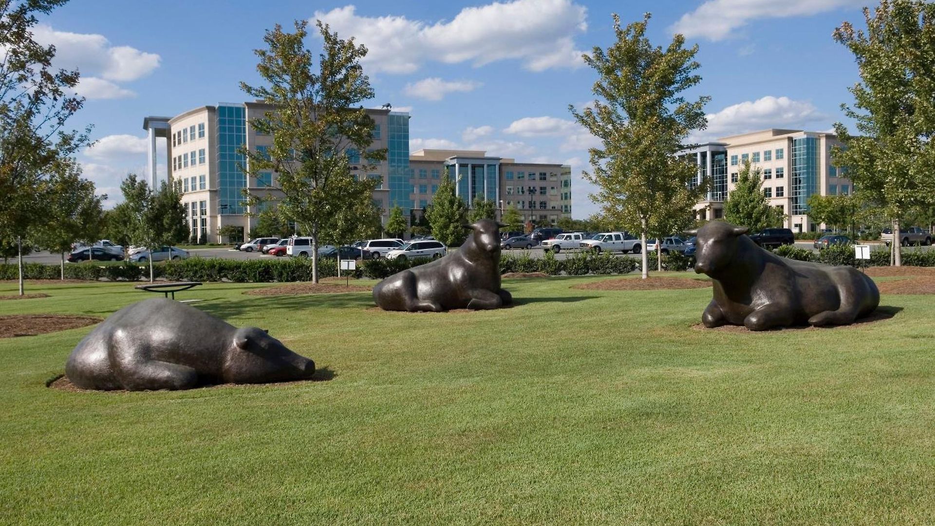 Hotel Staybridge - Ballantyne By Ihg 3*